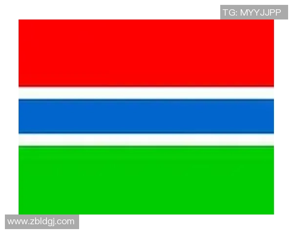 冰岛与加纳精彩对决比分直播全程跟踪分析与实时更新