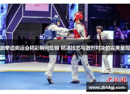 跆拳道奥运会精彩瞬间集锦 精湛技艺与激烈对决的完美呈现