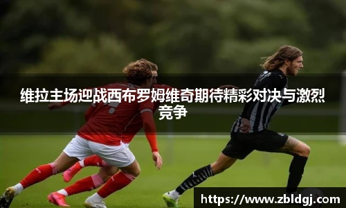 J9集团官方网址